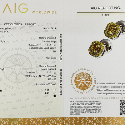 Prabangūs 14 karatų baltojo aukso auskarai su 0.52 ct Fancy Vivid Yellow Deimantais — Deimora papuošalai