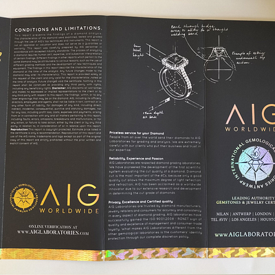 18 kt. Baltojo aukso Auskarai su 0.66 ct Deimantais — Deimora papuošalai